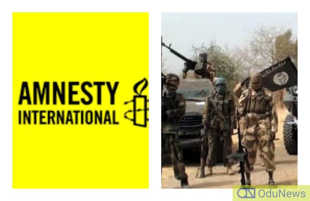 BREAKING: Amnesty International Supporting Boko Haram, ISWAP - DHQ  