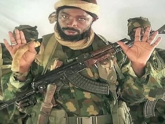 Boko Haram Leader, Shekau, Plans To Surrender — Seeks Amnesty From Nigerian Government  