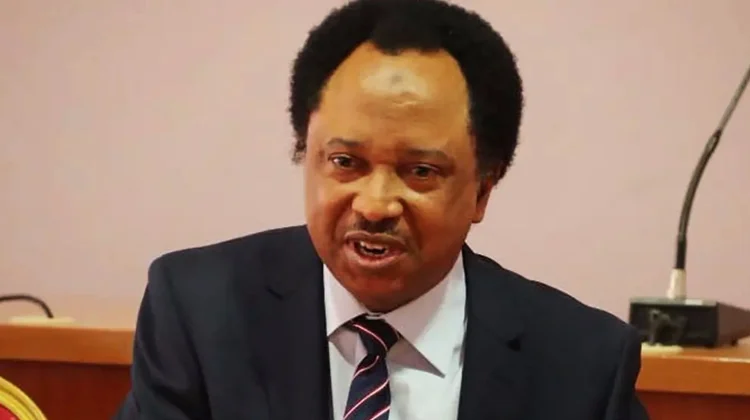 Shehu Sani Loses Kaduna PDP Governorship Primary  