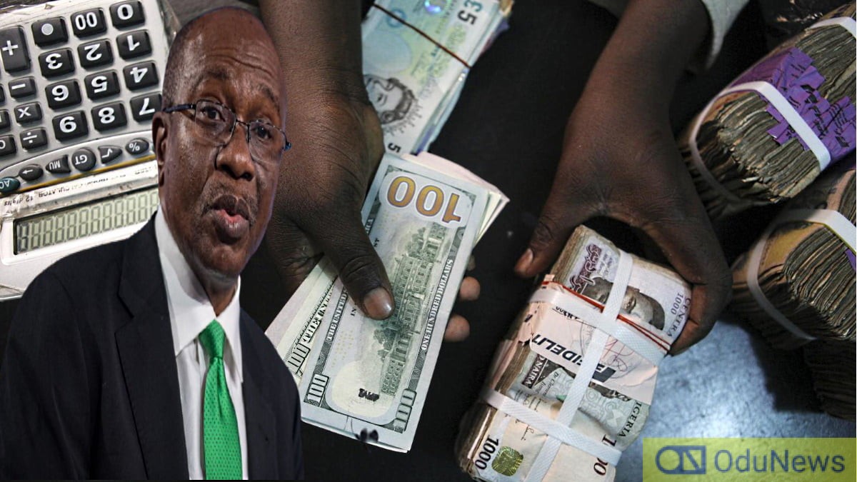 Nigeria's FX Trade Hit N24.93trn In 5 Months  