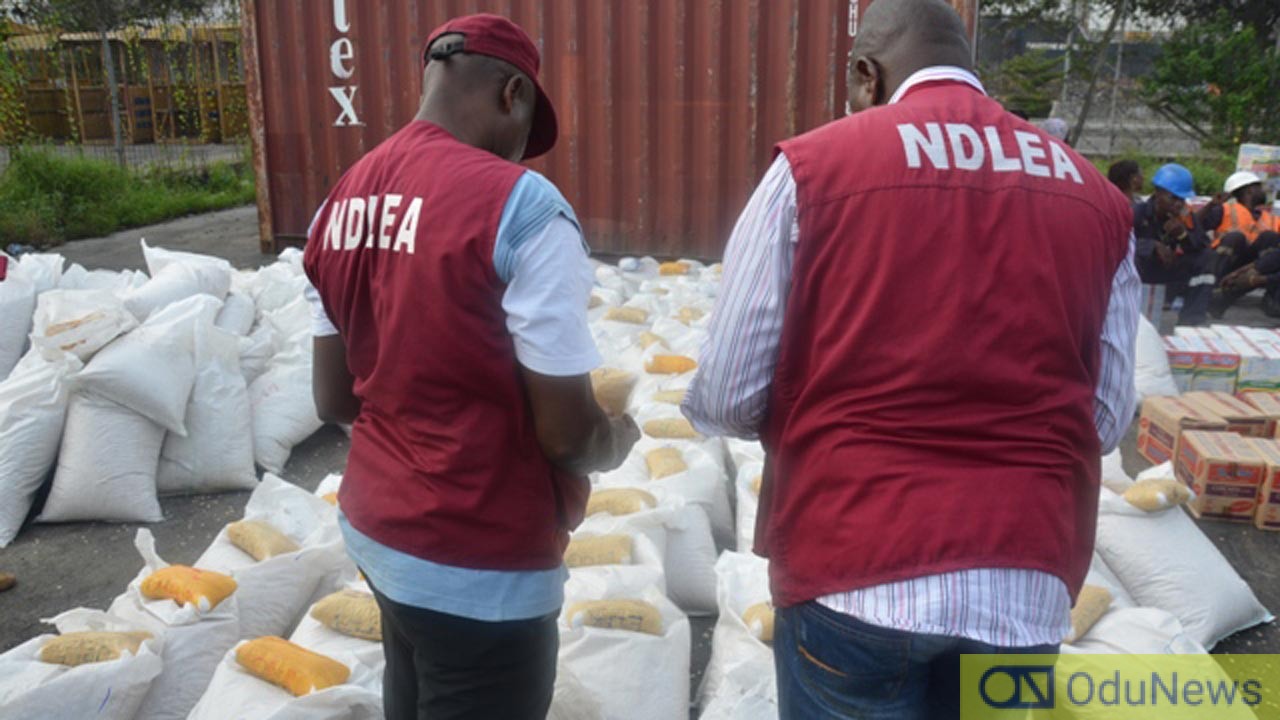 NDLEA Seizes N6bn Worth Of Hard Drugs At Apapa Port  