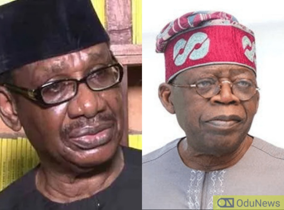 Focus On Insecurity, Halt Planned Subsidy Removal - Sagay Urges Tinubu  