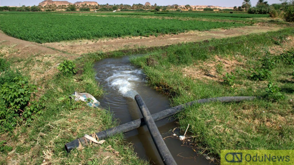 FG to Complete Middle Ogun Irrigation Project, Promises 8,000 Jobs and Boost in Food Production  