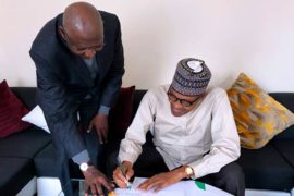 'Buhari just Signs Papers Without Inspecting the Documents' - Arewa Youths  