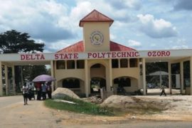Delta Poly Burns 5,000 Face Caps Seized From Students, Bans Use On Campus  