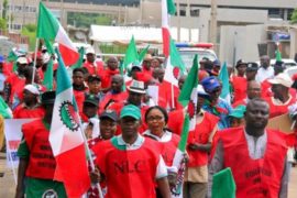 NLC Boycotts Govt Meeting on Subsidy Removal, Fuel Price Hike  
