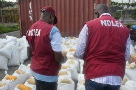NDLEA Shoots Two Dead During Raid In Lagos  