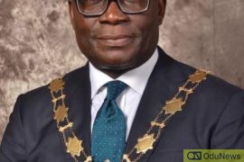'Nigeria's Economy Is Recovering' - CIBN