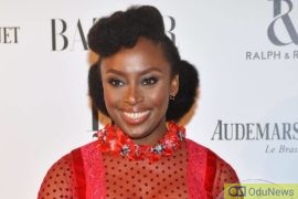 Chimamanda Adichie’s ‘Americanah’ Adapted As Series On HBO  