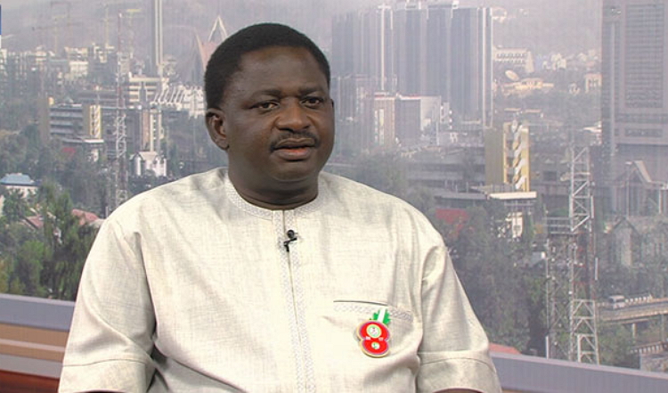 It Is Not Government's Duty To Create Jobs - Femi Adesina  