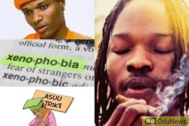 Naira Marley, What Is Xenophobia, ASUU Strike Are Top Searches On Google In 2019  