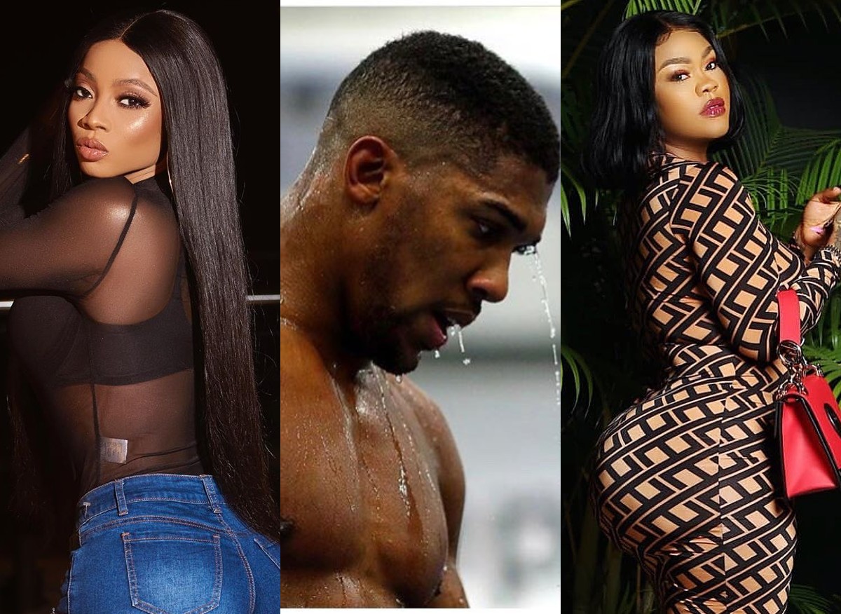 Daniella Okeke, Toke Makinwa At War Over Anthony Joshua