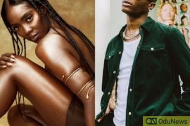 Tiwa Savage Seduces Wizkid On Stage [VIDEO]  