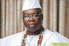 2020: Buhari To Jail More Ex-Governors - Gani Adams  