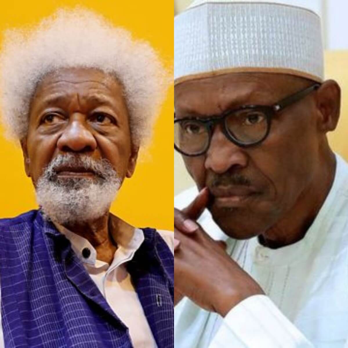 Soyinka blasts PMB