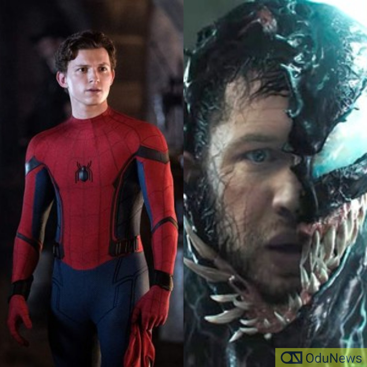 ‘Venom 2’: Tom Holland Likely To Appear As Spider-Man