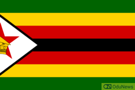 Wife Of Vice-President Of Zimbabwe Arrested For Suspected Fraud  