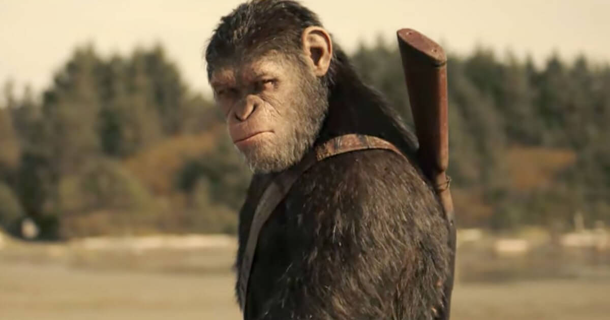 Andy Serkis as Caesar, the Ape leader 