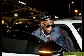 2020 Grammy Awards: Nigerians Cheer Burna Boy To Win  