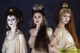 Brides of Dracula pilot ordered by ABC