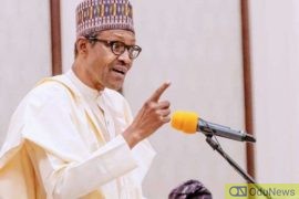 "90 Percent Of Boko Haram Victims Have Been Muslims" - Buhari  