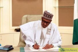 BREAKING: Buhari Reshuffles NDDC, Replaces Acting MD  