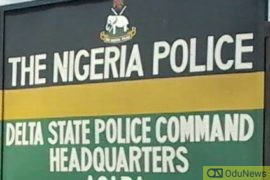 Delta state police launches "Operational Omotekpokpor"