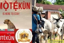 Amotekun A 'Monster' And 'Threat To Democracy' - Miyetti Allah  