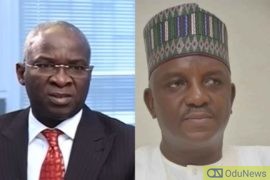 Fashola Did Nothing To Improve Power Sector - Minister Of Power, Mamman  