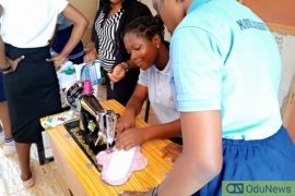 Reusable Sanitary Pads, A Remedy  For Alleviating Period Poverty In Nigeria  