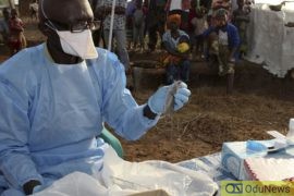 Lassa Fever: 103 Killed, 586 Confirmed Cases In 16 States  