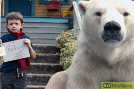 ‘Timmy Failure’ Trailer: A Little Boy With An Active Imagination  