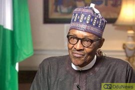 Insecurity: Buhari Is A Failure - Northern Elders  