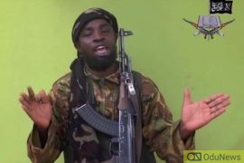 BREAKING: Don't Come To Maiduguri Again - Boko Haram Leader Shekau Warns Buhari  