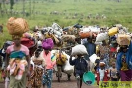 60,000 Cameroonians Flee Into Nigeria For Safety  