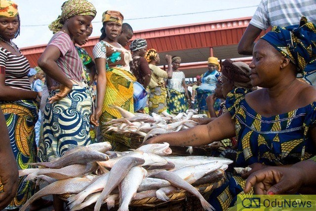 Nigeria will stop importation of fish by 2022