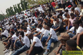 5.04 Million Nigerian Youths Fight For 400,000 NPower Slots  