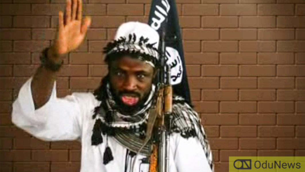 US To Give Out N2.55bn For Boko Haram Leader Shekau's Arrest