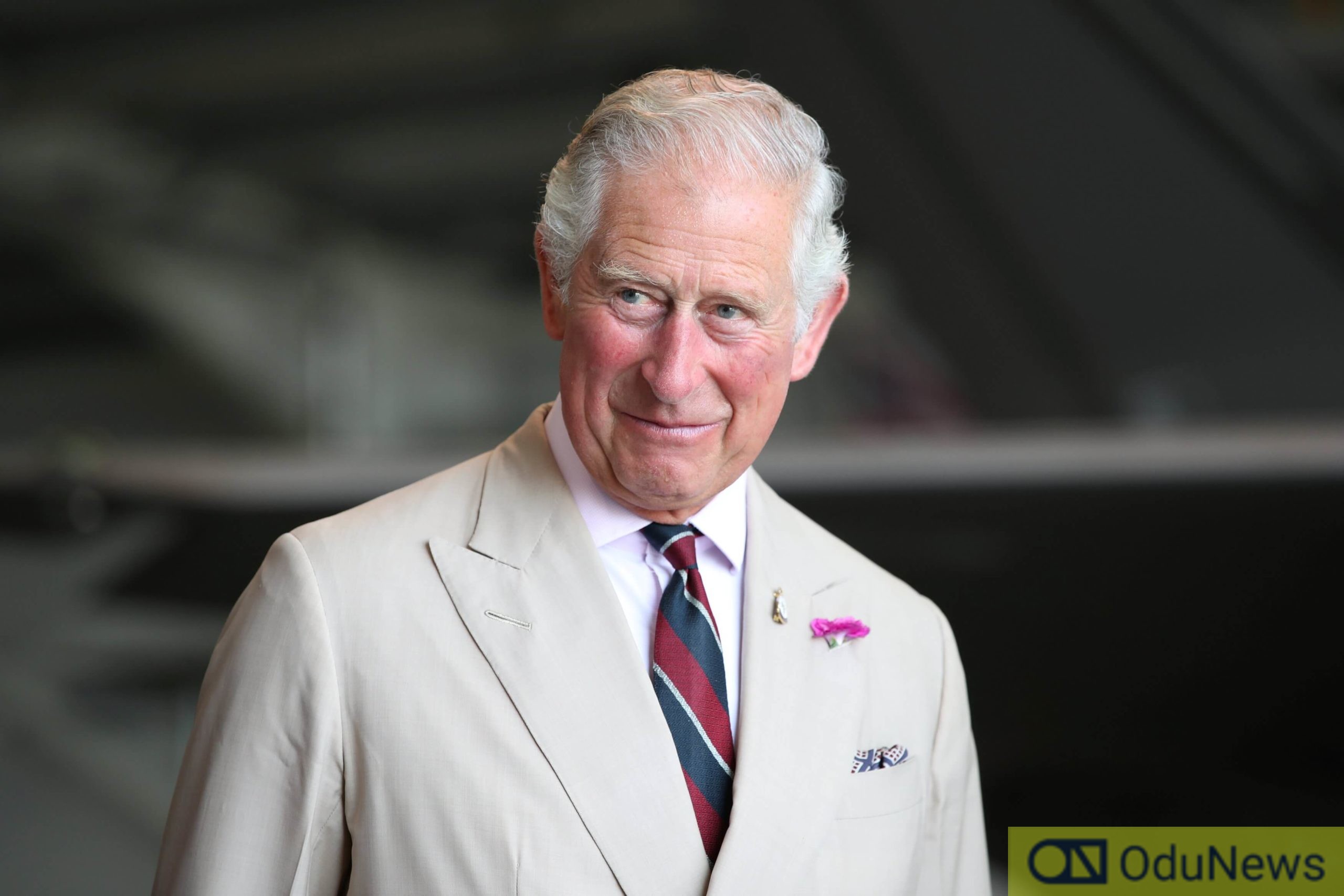 Coronavirus: Prince Charles Avoids Shaking Hands In Hilarious Video  