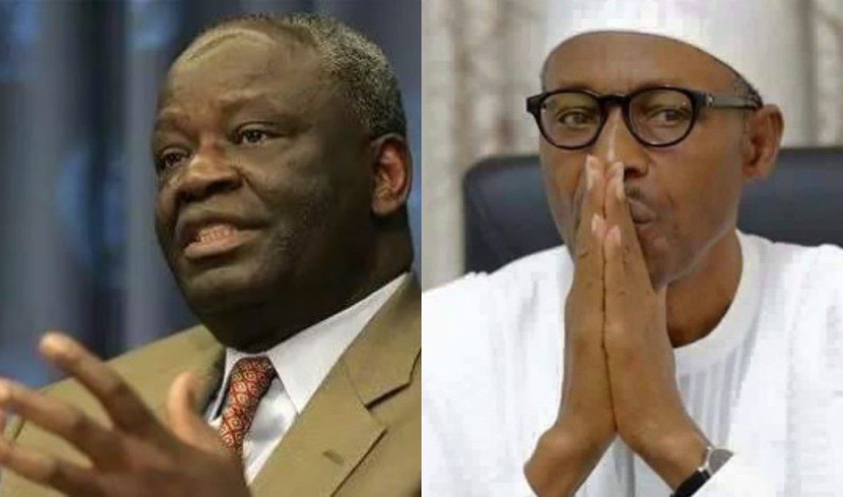 What I Would Do As Buhari’s Chief Of Staff – Ibrahim Gambari