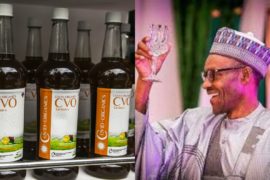 COVID-19: Buhari Receives Herbal Cure From Madagascar  