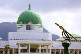 Burglars Invade Office In National Assembly  