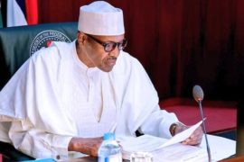 Evacuation Of 200 Nigerians From Canada Halted By Federal Government  