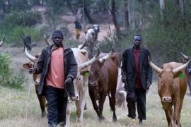 CAN Issues Warning To Herdsmen In Riverine Area  