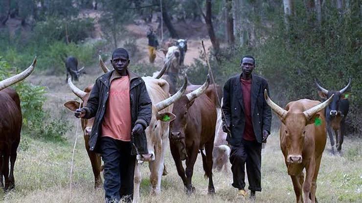 CAN Issues Warning To Herdsmen In Riverine Area