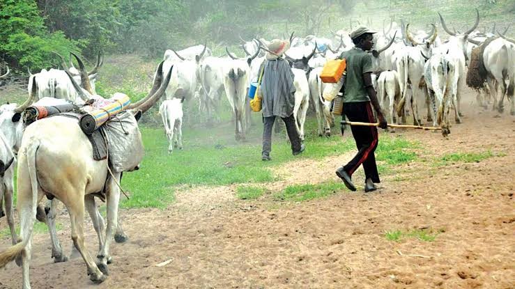 CAN Issues Warning To Herdsmen In Riverine Area