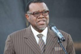 Government Not Buying Cars Till 2025, Namibia President Informs Officials  