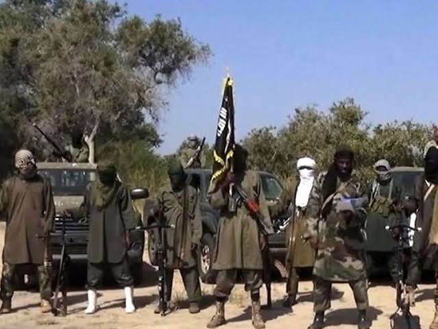 20 Killed, Others Injured As Boko Haram Attacks Borno Village