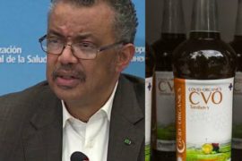 COVID-19: "We Are Not Discouraging The Product But..." - WHO Speaks On Madagascar Herbal Cure  