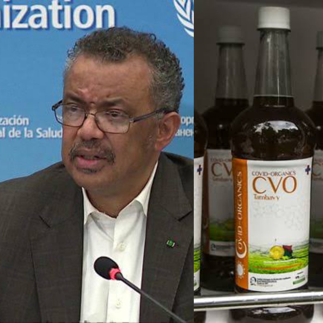 COVID-19: "We Are Not Discouraging The Product But..." - WHO Speaks On Madagascar Herbal Cure